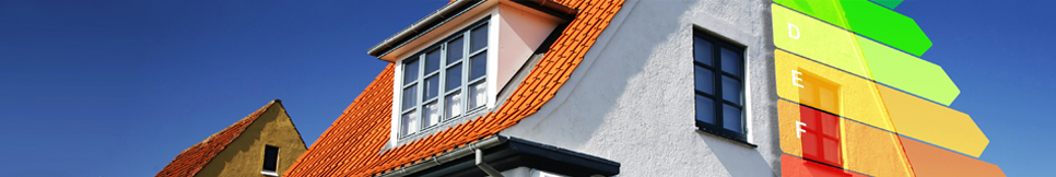 Banner - Florian Braun