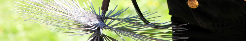 Banner - Florian Braun